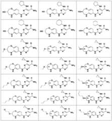Figure PCTCN2018101128-APPB-000015