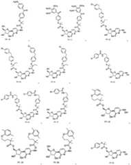 Figure PCTCN2022115474-appb-000040