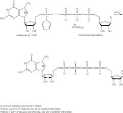 Figure US08093367-20120110-C00006