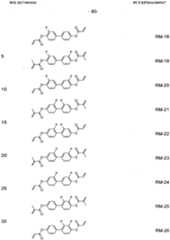 Figure imgf000081_0001