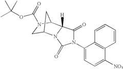 Figure US06960474-20051101-C00071