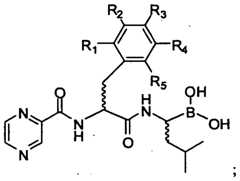 Figure imgf000013_0001