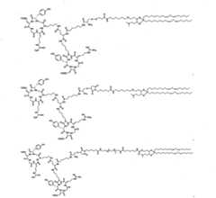 Figure imgf000021_0001