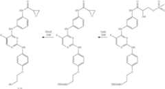 Figure US09415049-20160816-C00114