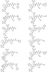 Figure imgf000082_0001