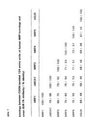 Figure imgf000063_0001