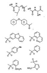 Figure imgf000019_0001