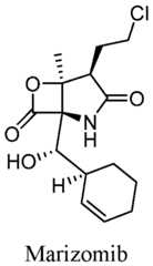 Figure imgf000035_0002