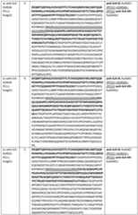 Figure imgf000054_0001