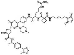 Figure BDA0004113777320001281