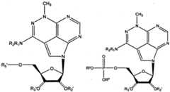 Figure imgf000011_0001