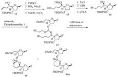 Figure imgf000077_0001