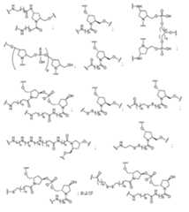 Figure 2023012548000513