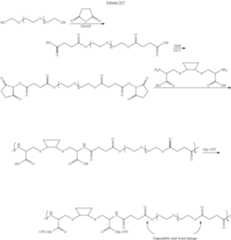 Figure US08475781-20130702-C00023