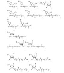 Figure 2023500681000161