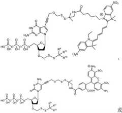 Figure BDA0003670511740001731