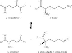 Figure US08133704-20120313-C00029