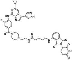 Figure BDA0002964098100001901