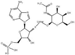 Figure imgf000059_0002