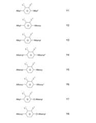 Figure 2024079817000081