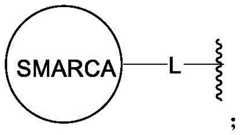 Figure BDA0003783300830000421