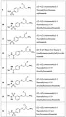 Figure imgf000025_0001