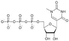 Figure imgf000165_0002