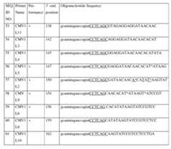 Figure imgf000040_0001