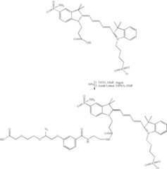 Figure US08178360-20120515-C00043