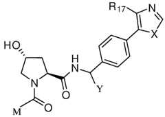 Figure imgf000175_0002