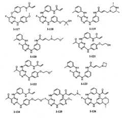 Figure BPA00001280125600611