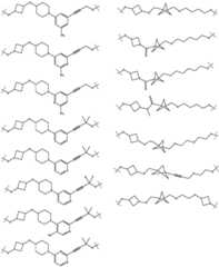 Figure BDA0003027048450002261