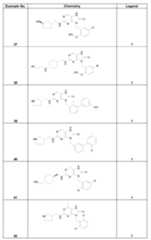 Figure imgf000077_0001