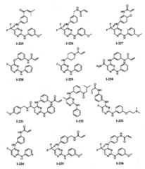 Figure BPA00001280125600711