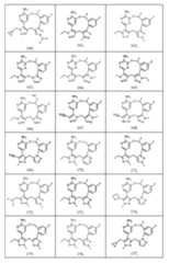 Figure imgf000064_0001