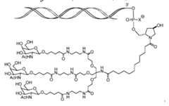 Figure imgf000087_0001