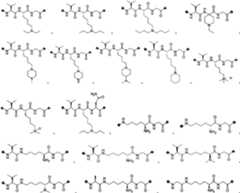 Figure PCTCN2022073822-appb-000047