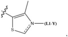 Figure BDA0004113777320000042