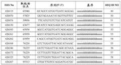 Figure BDA0003357312860005171