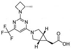 Figure BDA0003363737300003292