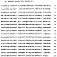 Figure imgf000064_0002