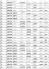 Figure imgf000083_0001