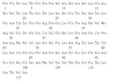 Figure 109115264-A0305-02-0224-59