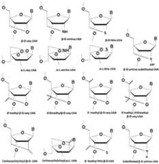 Figure imgf000037_0001