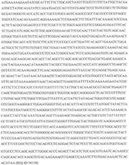 Figure GDA0002870045410000901