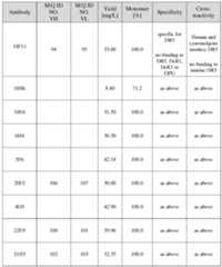 Figure imgf000143_0001