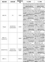 Figure BDA0003627552160001681