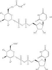 Figure US07405198-20080729-C00031