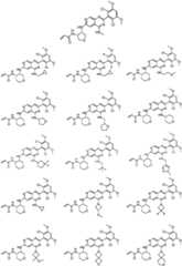 Figure GPA0000263212130000411