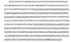 Figure 106123588-A0202-12-0053-14